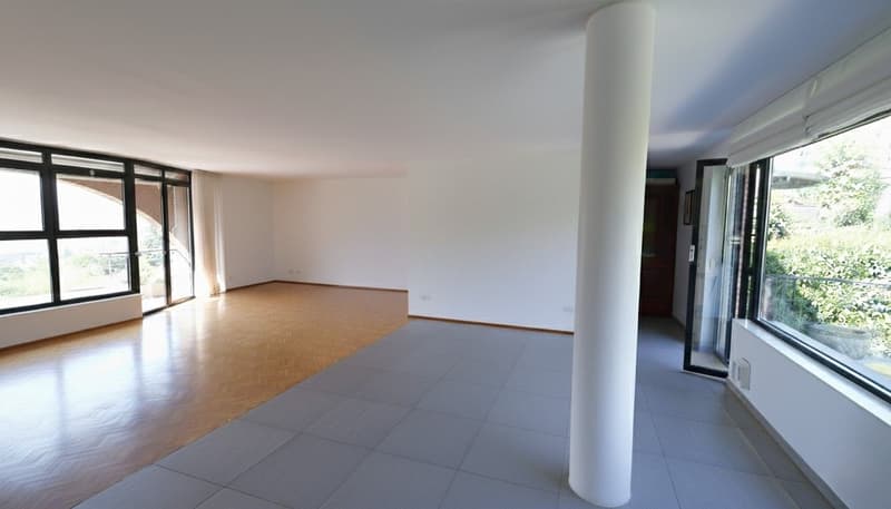 Gentilino – casa incantevole con ampio giardino (7)