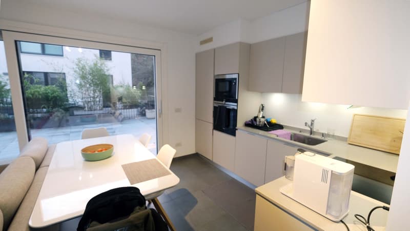 Appartamento 2,5 locali con grande terrazza (14)