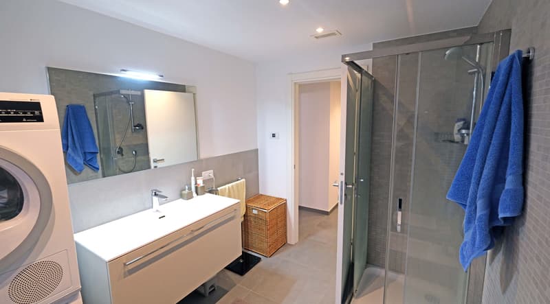 Appartamento 2,5 locali con grande terrazza (17)