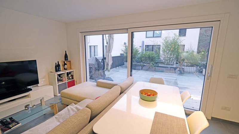 Appartamento 2,5 locali con grande terrazza (9)