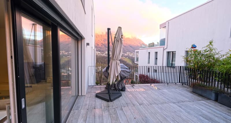 Appartamento 2,5 locali con grande terrazza (7)