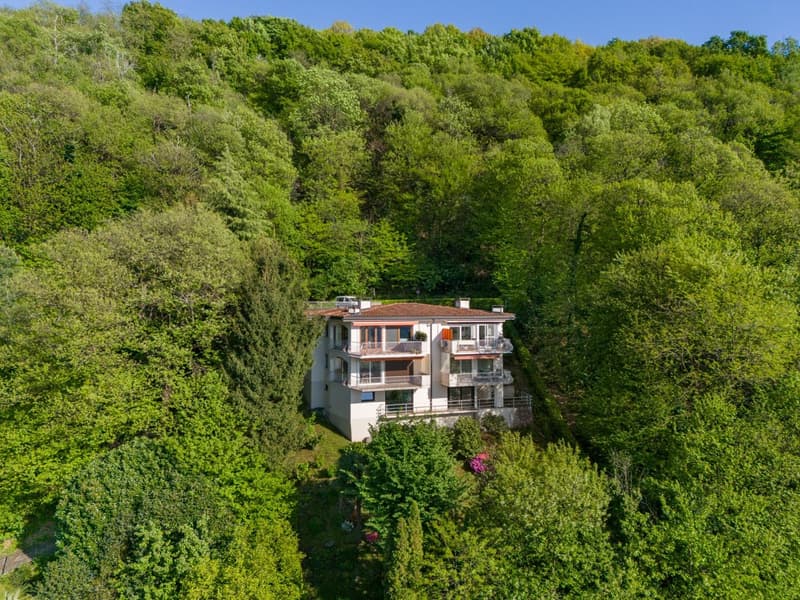 Montagnola – EXCLUSIVE 3.5-ROOM APARTMENT IN A VILLA WITH ONLY 4 UNITS, A DESIGN OASIS SURROUNDED BY GREENERY (14)