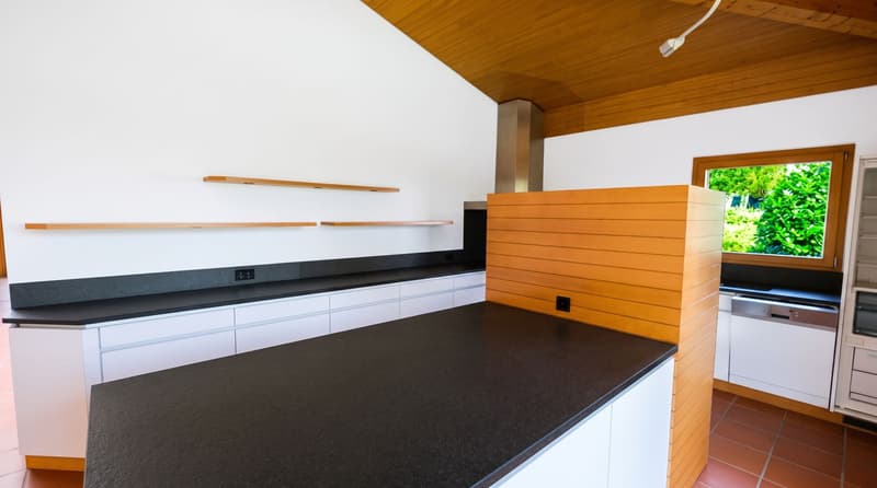 Origlio - Villa mit grossem Grundstück und Privatsphäre (13)