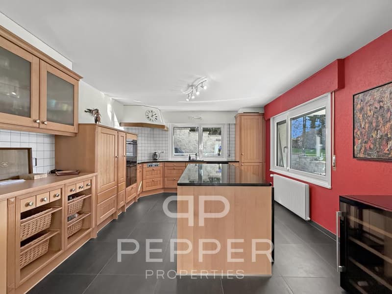 Écrin de verdure aux portes de Lausanne Spacieuse maison individuelle rénovée (11)