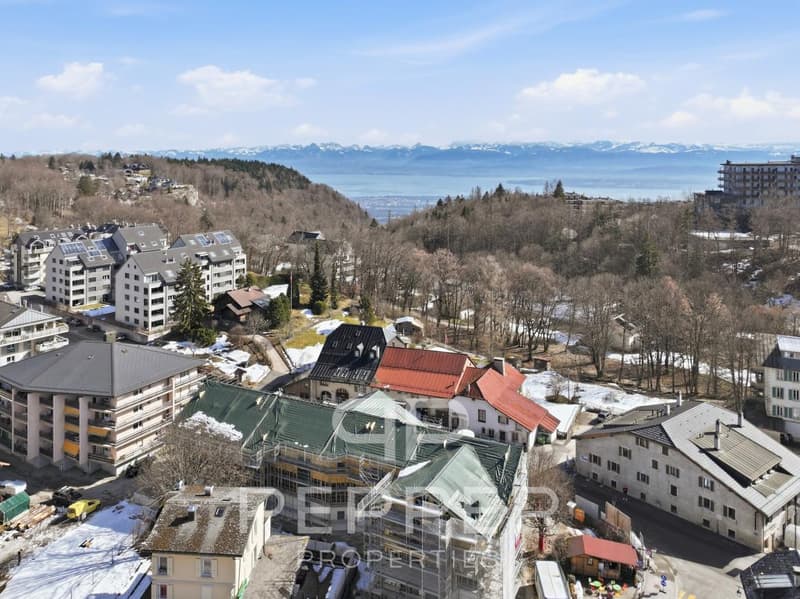 Dernier lot disponible - Lumineux appartement neuf au coeur de St-Cergue (13)