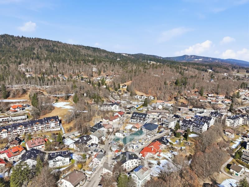 Dernier lot disponible - Lumineux appartement neuf au coeur de St-Cergue (12)