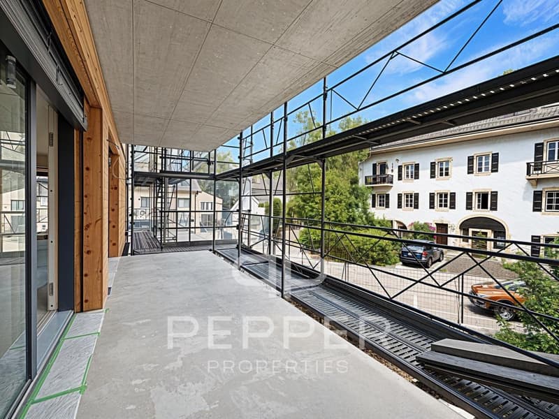 Dernier lot disponible - Lumineux appartement neuf au coeur de St-Cergue (3)