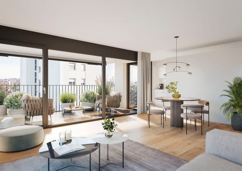Erstbezug: zentrale und komfortable 4.5-Zimmer-Attikawohnung (2)