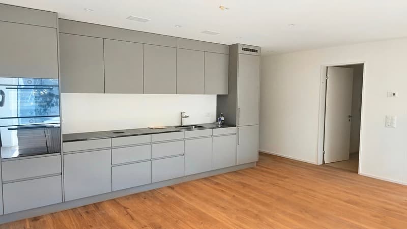Erstbezug: Neue komfortable 2.5 Zi-Gartenwohnung zentral und schön gelegen (4)