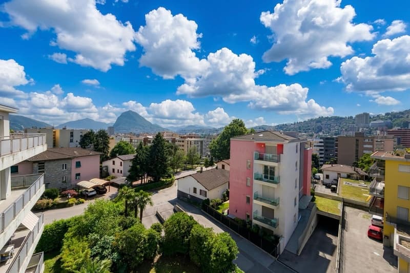 Ampio e luminoso 3.5 locali con terrazza e vista aperta (14)