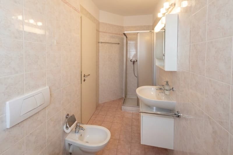 Ampio e luminoso 3.5 locali con terrazza e vista aperta (10)