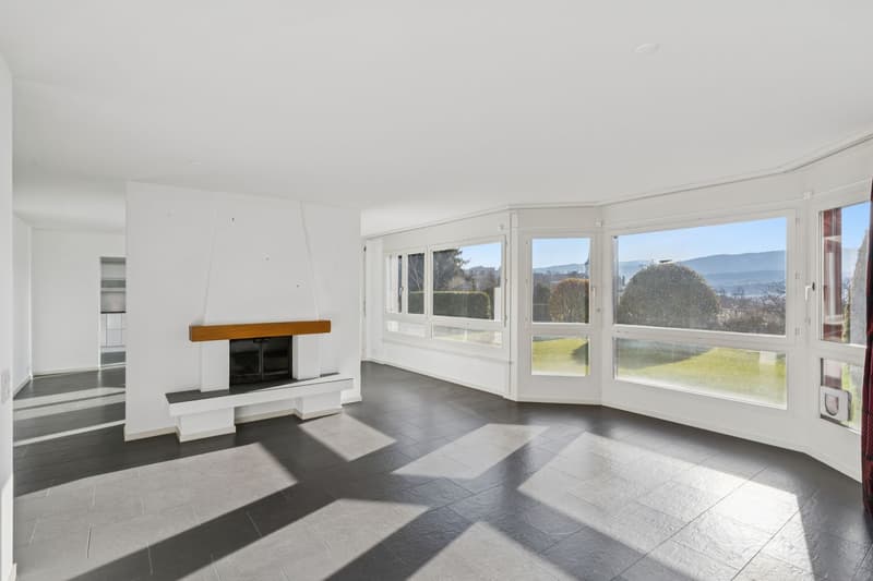 Grand appartement de plain-pied, jardin privatif et vue Préalpes (2)