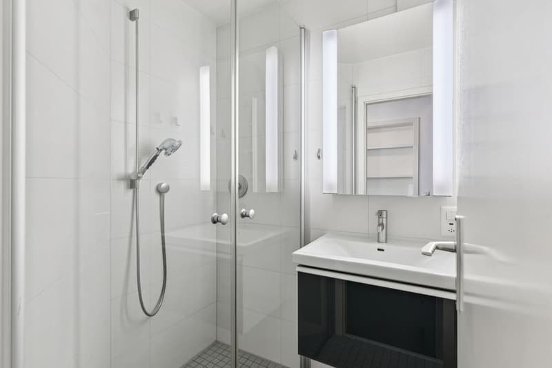 Grand appartement de plain-pied, jardin privatif et vue Préalpes (5)