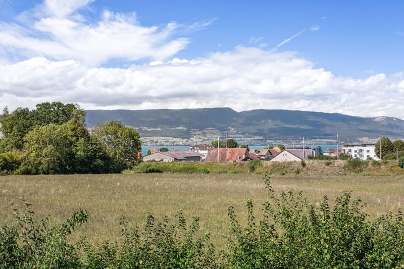 Estavayer-le-Lac - 4.5 pièces rénové avec terrasse et vue lac (7)