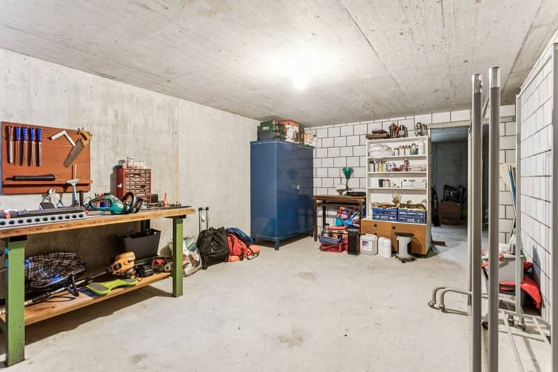 Maison d'architecte élégante et lumineuse à Gletterens (10)