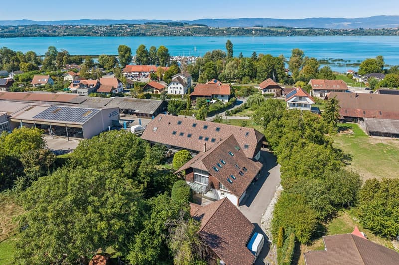 Élégance architecturale au coeur d'une ferme rénovée, à deux pas du la (2)