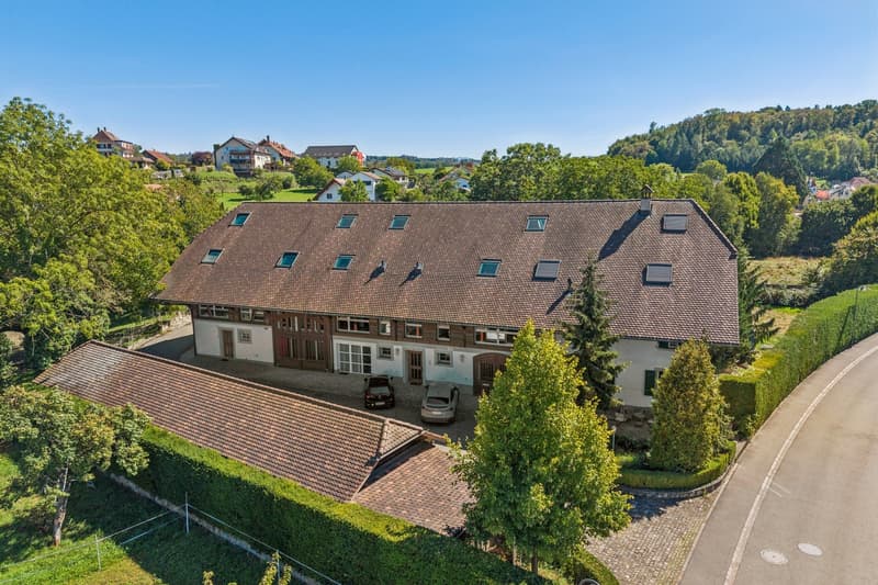 Élégance architecturale au coeur d'une ferme rénovée, à deux pas du la (11)