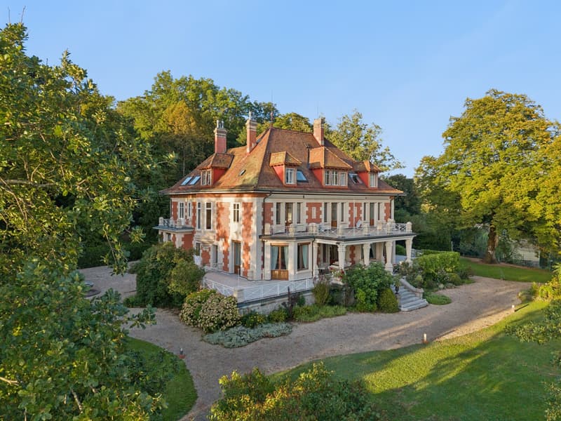 Lavaux : villa iconique, vue Léman et Alpes, domaine de près de 1.6 ha (1)