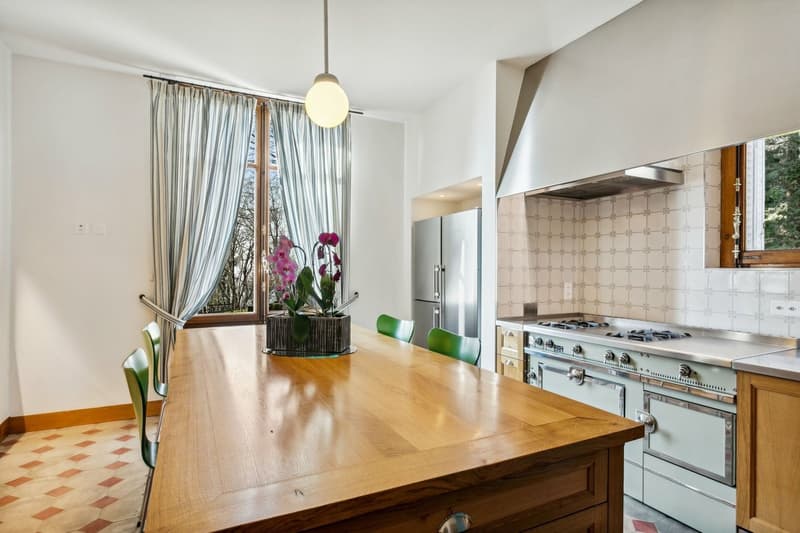 Lavaux : villa iconique, vue Léman et Alpes, domaine de près de 1.6 ha (5)