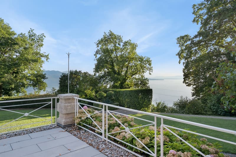 Lavaux : villa iconique, vue Léman et Alpes, domaine de près de 1.6 ha (10)