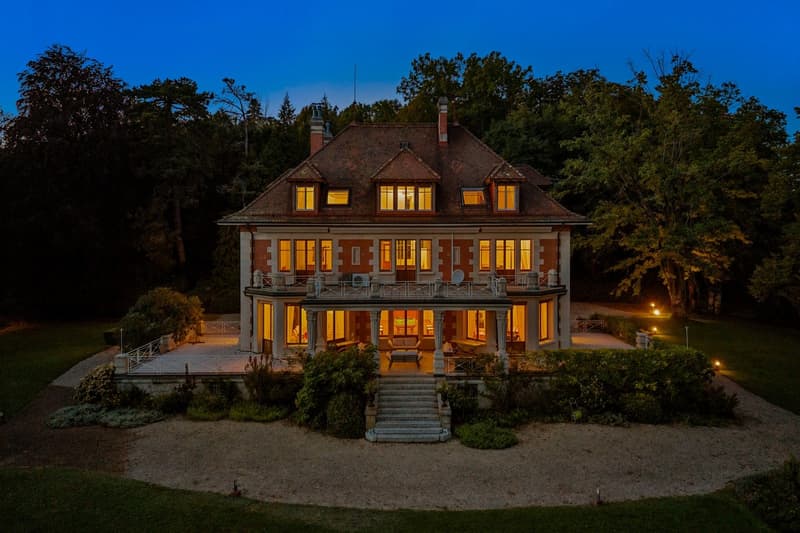 Lavaux : villa iconique, vue Léman et Alpes, domaine de près de 1.6 ha (13)