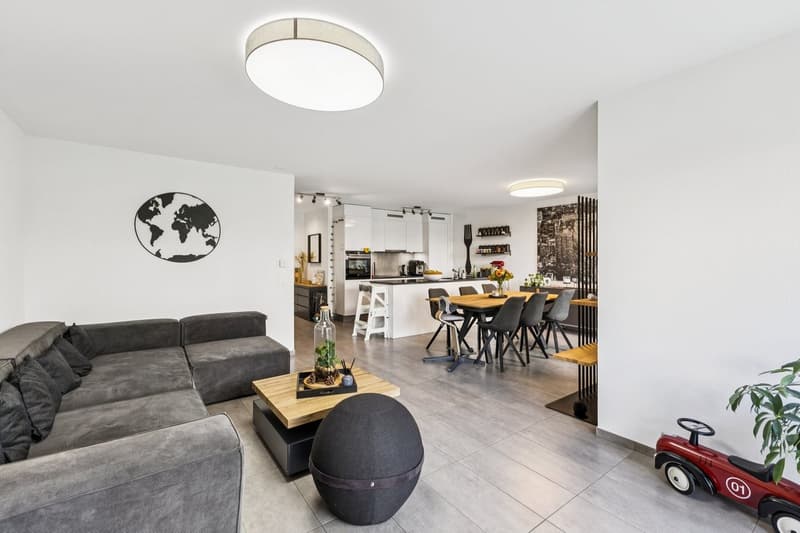 Townhouse contemporaine de 6.5 pièces à Sugiez (3)