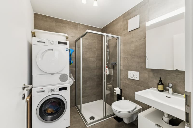 Townhouse contemporaine de 6.5 pièces à Sugiez (7)