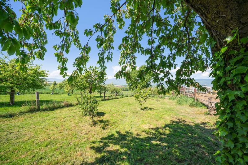 Maison familiale avec vaste extérieur et terrasse, proche d'Yverdon (9)