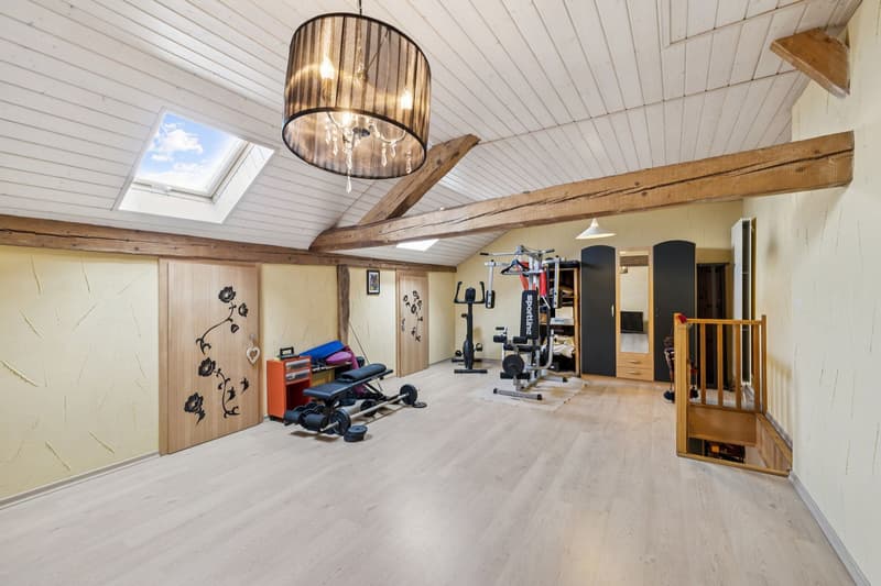 Maison de caractère rénovée avec studio indépendant et beaux volumes (9)