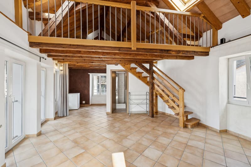 Maison de caractère rénovée avec studio indépendant et beaux volumes (10)