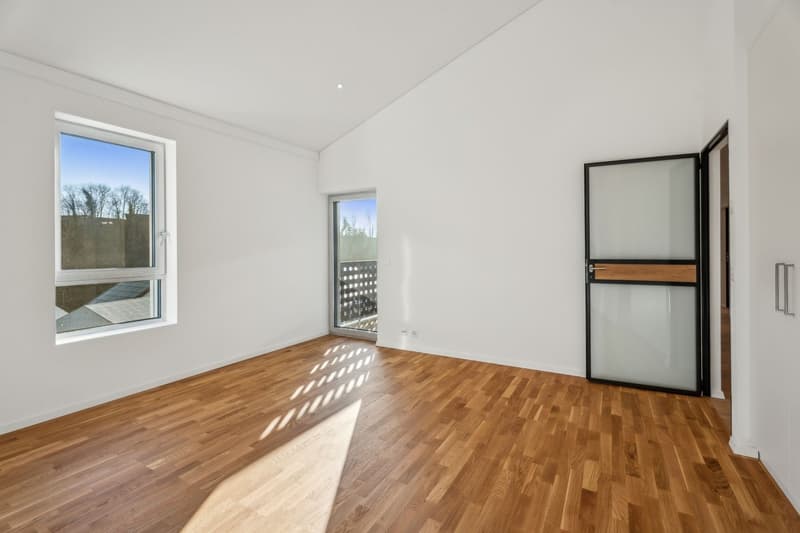 ?l?gant duplex 5.5 pi?ces avec mezzanine et ascenseur privatif (5)
