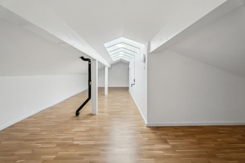 ?l?gant duplex 5.5 pi?ces avec mezzanine et ascenseur privatif (11)