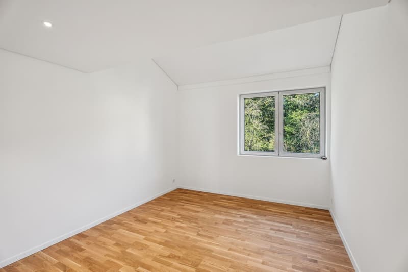 ?l?gant duplex 5.5 pi?ces avec mezzanine et ascenseur privatif (9)