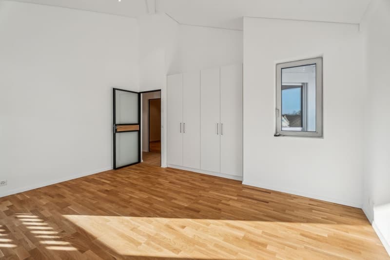?l?gant duplex 5.5 pi?ces avec mezzanine et ascenseur privatif (6)