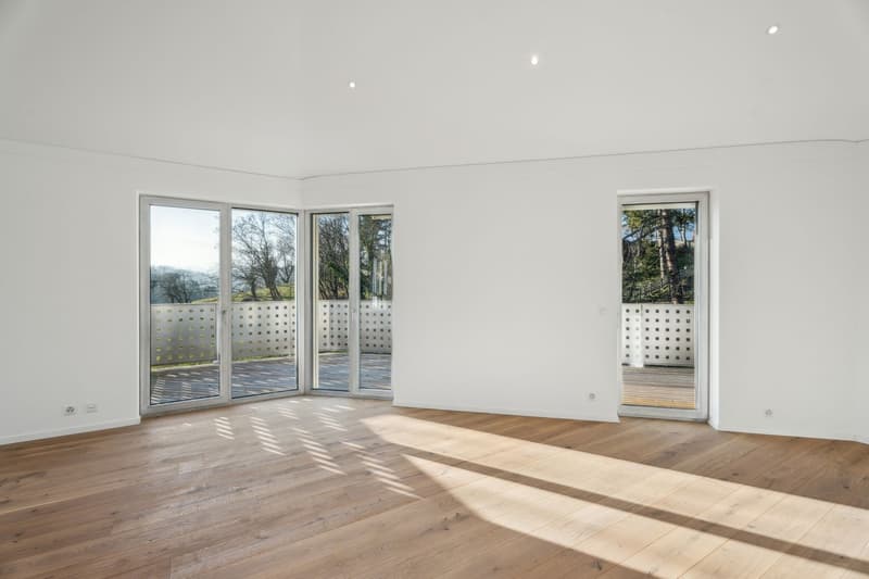 ?l?gant duplex 5.5 pi?ces avec mezzanine et ascenseur privatif (3)
