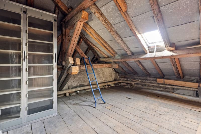 1840 m à rénover ou à développer au coeur de La Chaux (11)