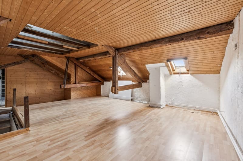 1840 m à rénover ou à développer au coeur de La Chaux (10)