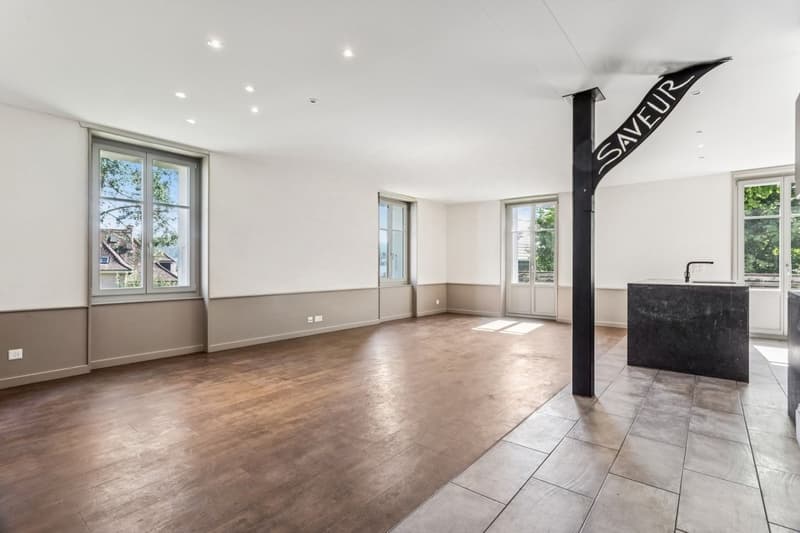 Maison individuelle 6.5 pi?ces r?nov?e avec soin (3)