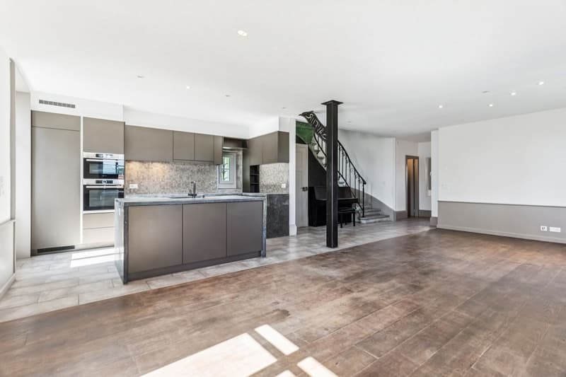 Maison individuelle 6.5 pièces rénovée avec soin (2)