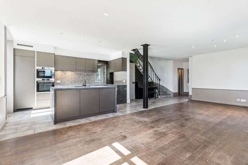 Maison individuelle 6.5 pièces rénovée avec soin (2)