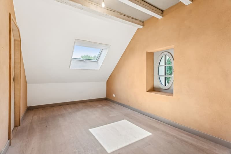 Maison individuelle 6.5 pi?ces r?nov?e avec soin (11)