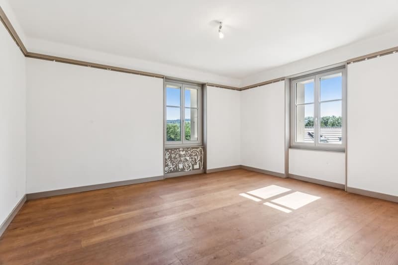 Maison individuelle 6.5 pi?ces r?nov?e avec soin (6)