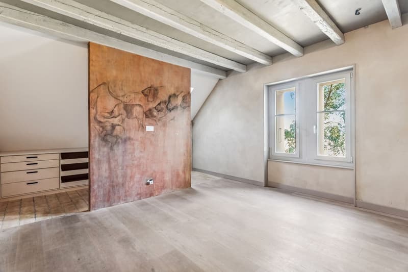 Maison individuelle 6.5 pi?ces r?nov?e avec soin (9)