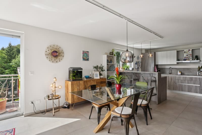 RARE 4,5P AVEC TERRASSE DE 30M² SUR LES HAUTS DE LAUSANNE (6)