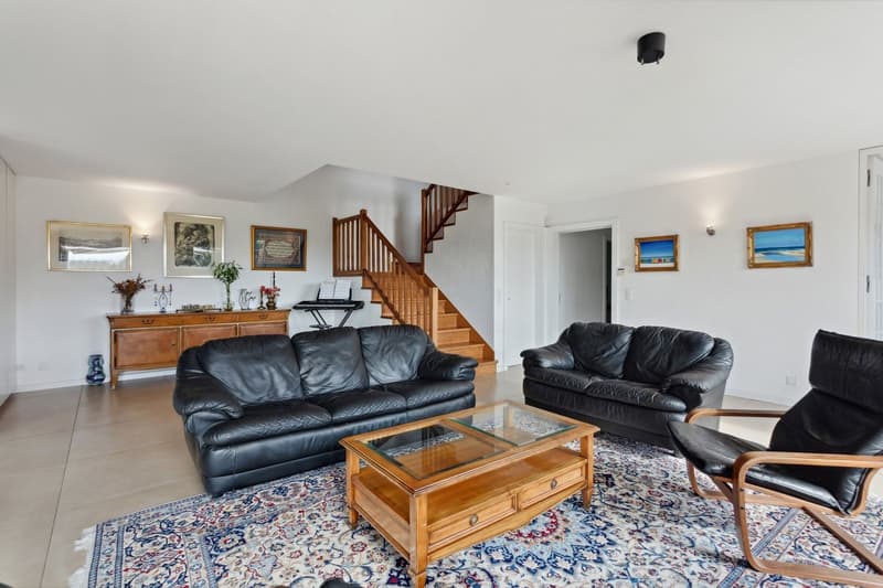 Villa familiale de 7,5 pi?ces avec studio ind?pendant de 1,5 pi?ce, vu (3)