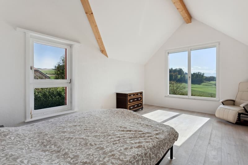 Villa familiale de 7,5 pi?ces avec studio ind?pendant de 1,5 pi?ce, vu (6)