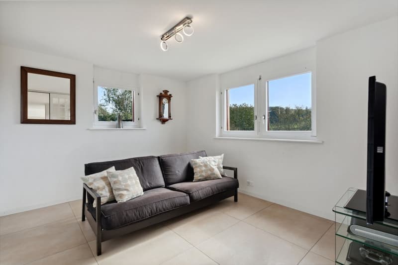 Villa familiale de 7,5 pi?ces avec studio ind?pendant de 1,5 pi?ce, vu (5)