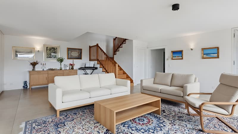Villa familiale à 35 minutes de Lausanne, vue panoramique, calme et st (2)