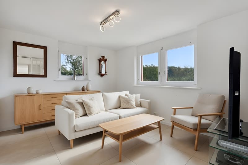 Villa familiale à 35 minutes de Lausanne, vue panoramique, calme et st (5)