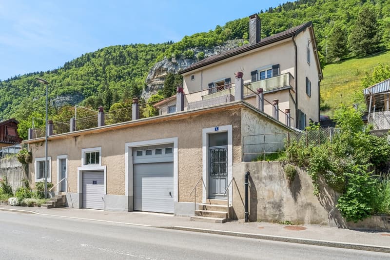 Maison polyvalente - 2 appartements, studio, atelier et grands volumes (2)